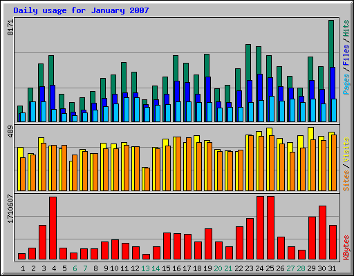 Daily usage for January 2007