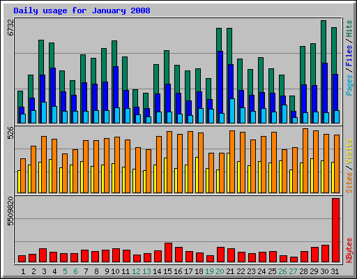 Daily usage for January 2008