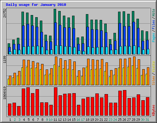 Daily usage for January 2010
