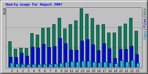 Hourly usage for August 2007