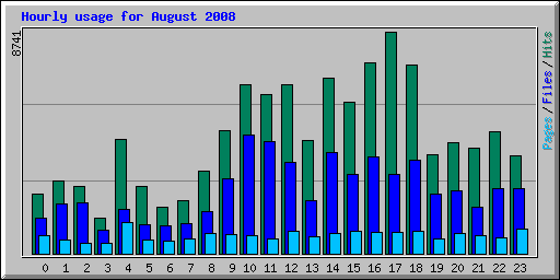 Hourly usage for August 2008