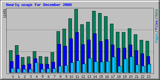 Hourly usage for December 2008