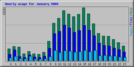 Hourly usage for January 2009