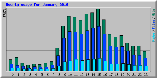 Hourly usage for January 2010