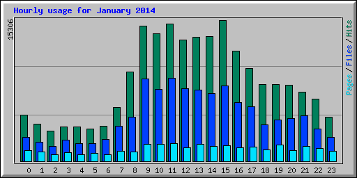 Hourly usage for January 2014